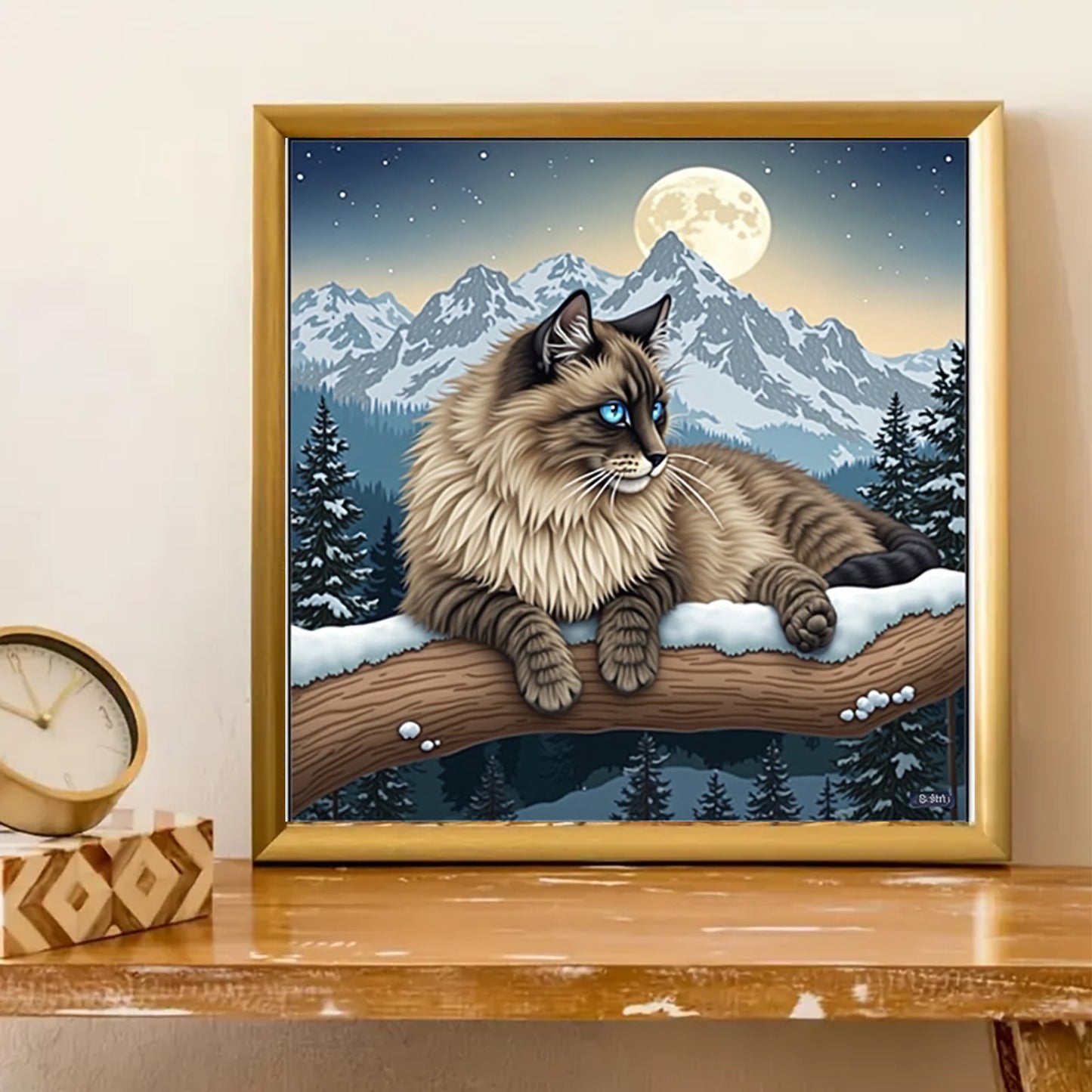 蓝颜小猫