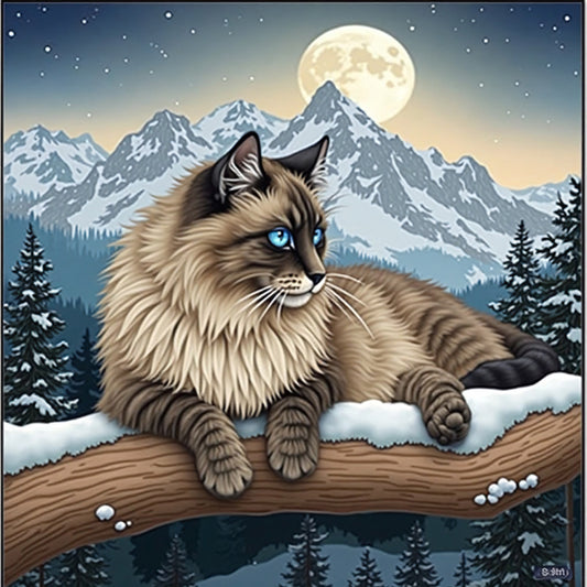 蓝颜小猫